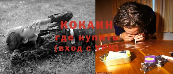 твердый Пересвет