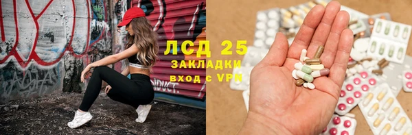 крисы Осташков