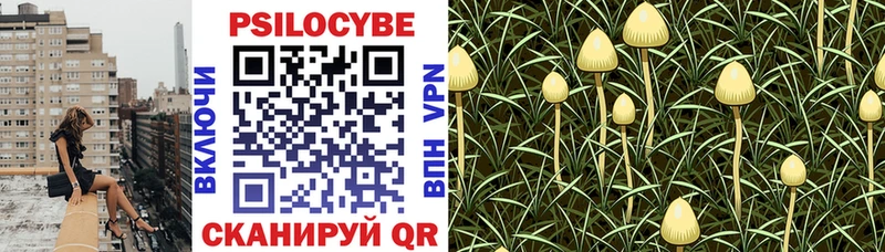 Галлюциногенные грибы прущие грибы Большой Камень