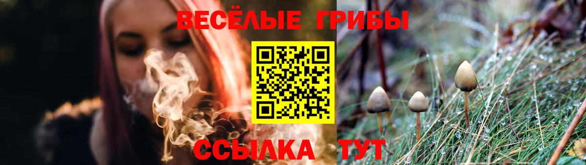 Галлюциногенные грибы Psilocybine cubensis  Вход с VPN  Большой Камень 