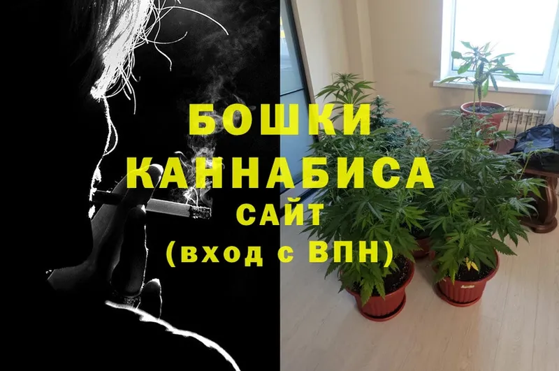 мориарти формула  Большой Камень  Канабис White Widow  hydra tor 